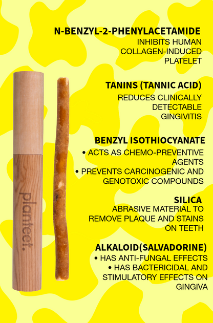 Miswak ToothBrush Set (Miswak Stick+ Bamboo Case)