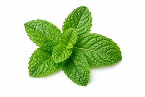 Menthol