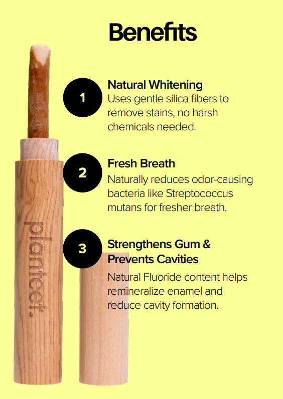 Miswak ToothBrush Set (Miswak Stick+ Bamboo Case)