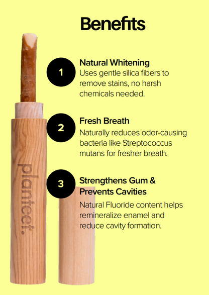 Miswak ToothBrush Set (Miswak Stick+ Bamboo Case)