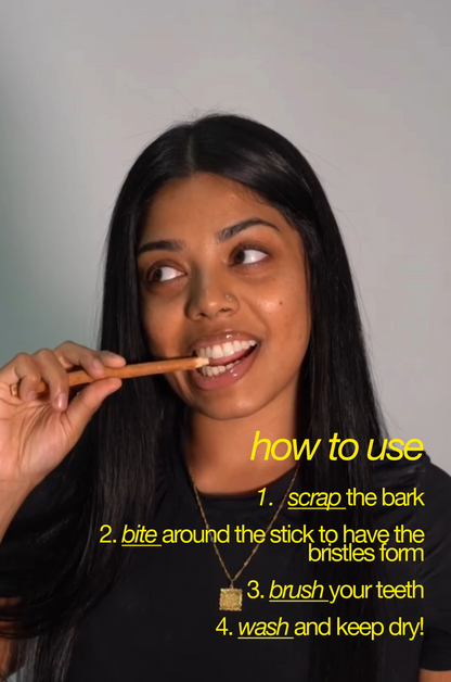 Miswak Stick W/ Bamboo Case